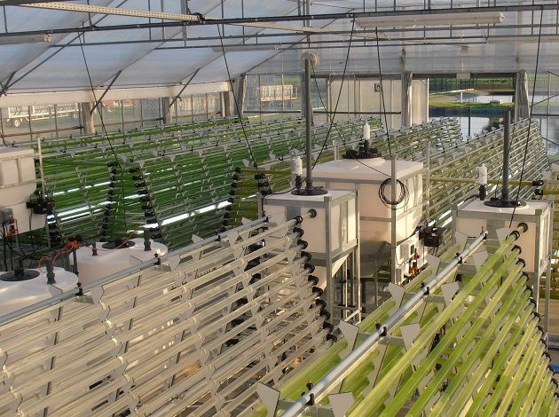 藻類養(yǎng)殖的CO2供應(yīng)控制