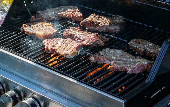 野外活動(dòng)與質(zhì)量流量控制 4